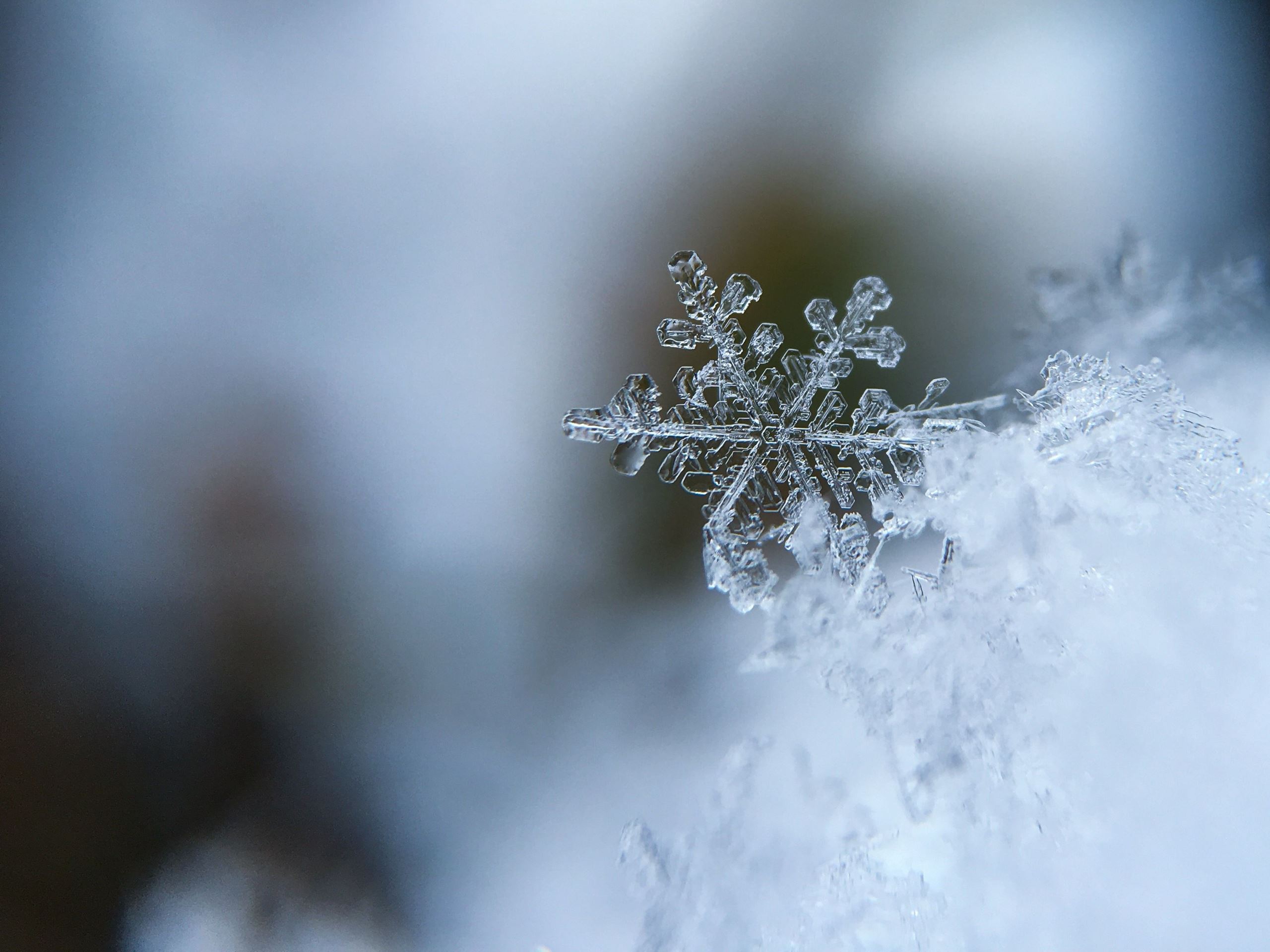 Close up of snowflake